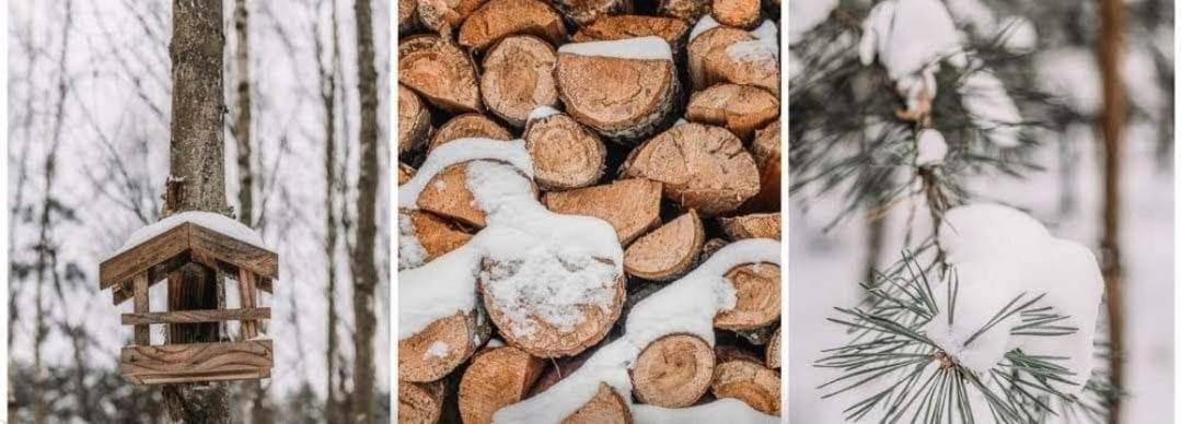 Sosnowy Raj Domki Nad Wkra Popielzyn Dolny Ngoại thất bức ảnh